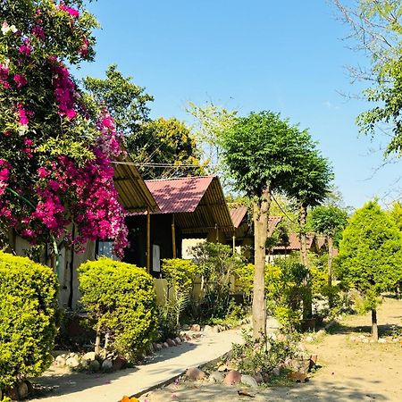 Hotel Camp High 5 Jayalgarh Dāngchura Exterior foto